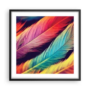 Poster in cornice nera - Arcobaleno piumato - 50x50 cm