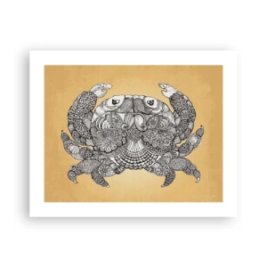 Poster - I racconti del granchio - 50x40 cm