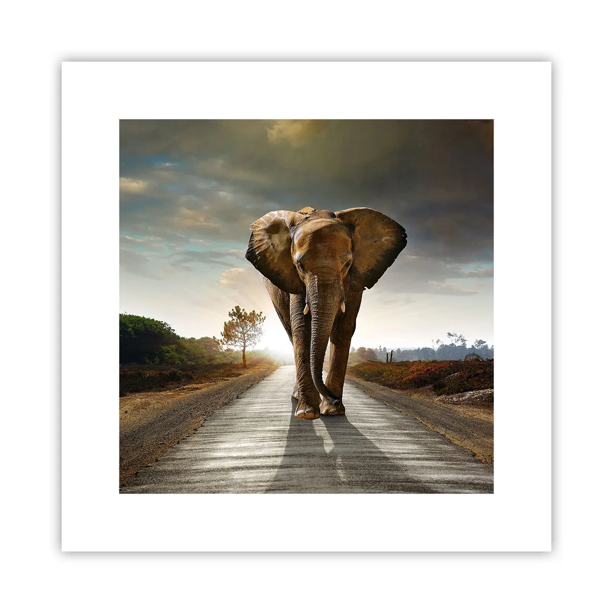 Poster - E non nel negozio di cristalli - 30x30 cm