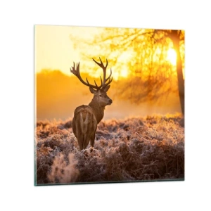 Quadro su vetro - Il re del bosco estivo - 30x30 cm