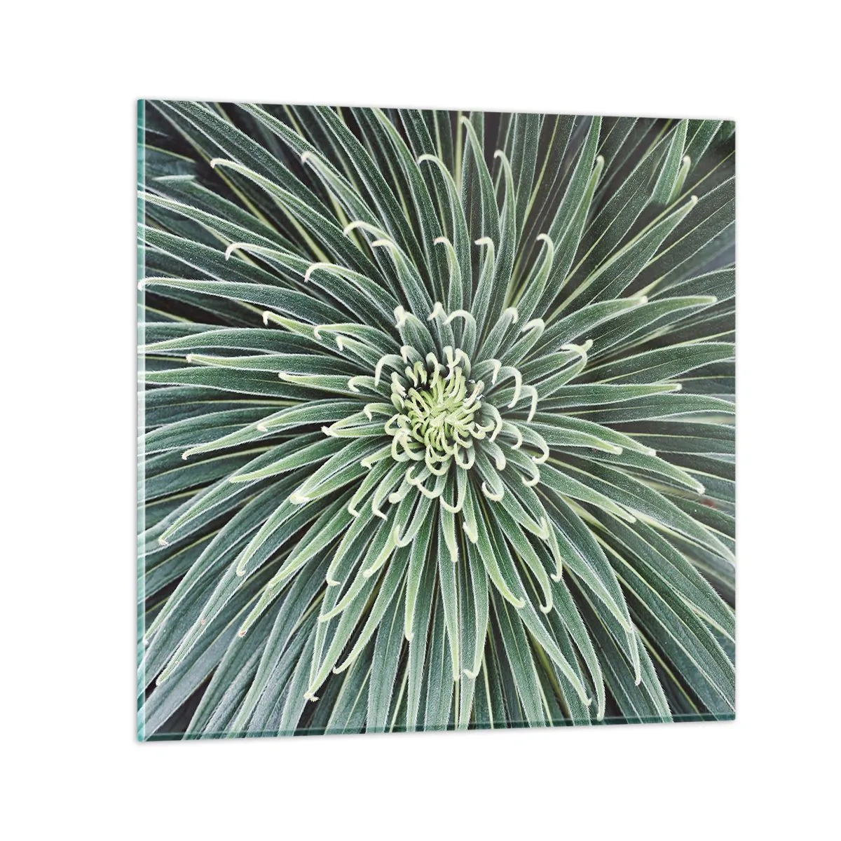 Quadro su vetro - La nascita delle stelle - 40x40 cm