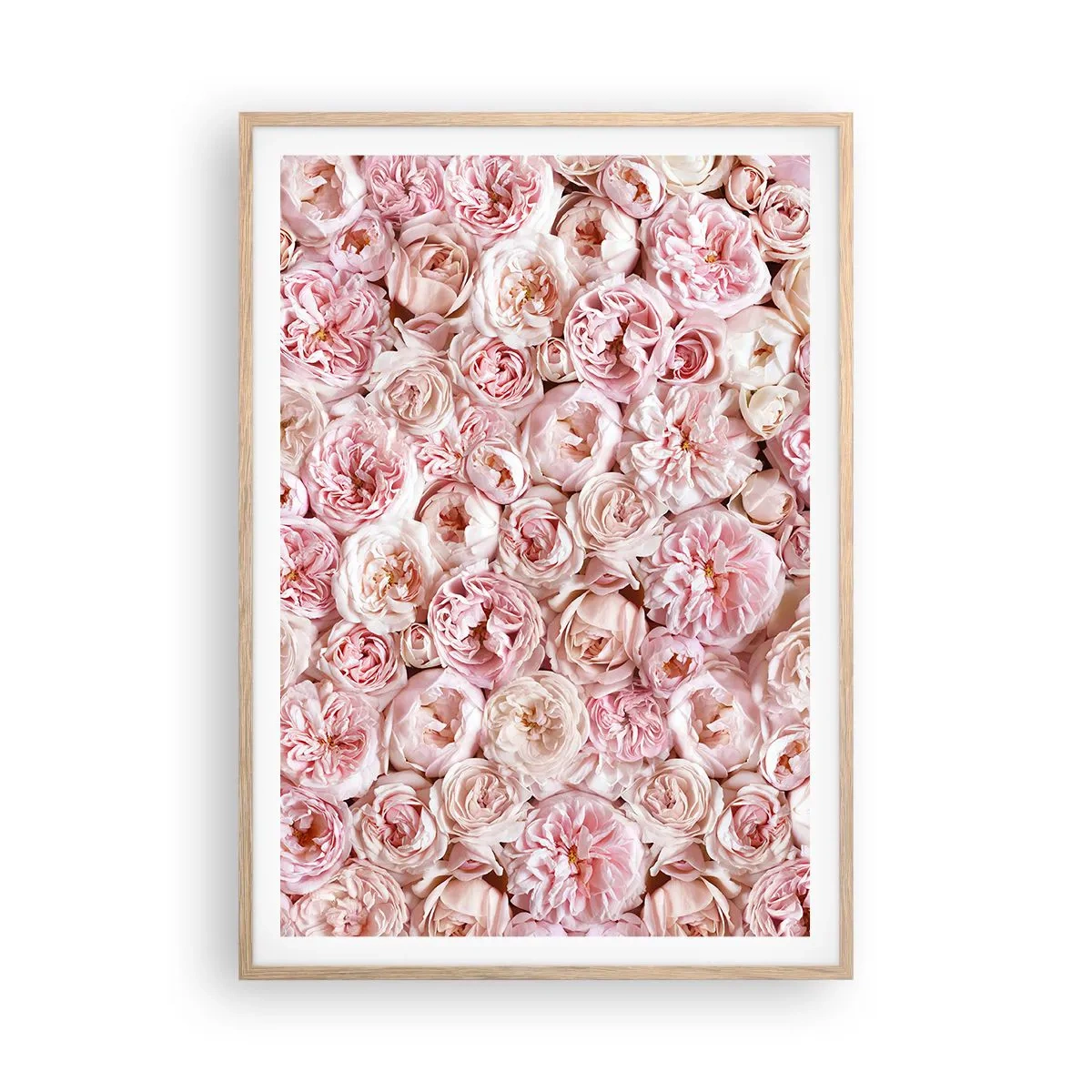 Poster in cornice rovere chiaro - Coperto di rose - 70x100 cm