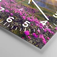 Quadrante con numeri