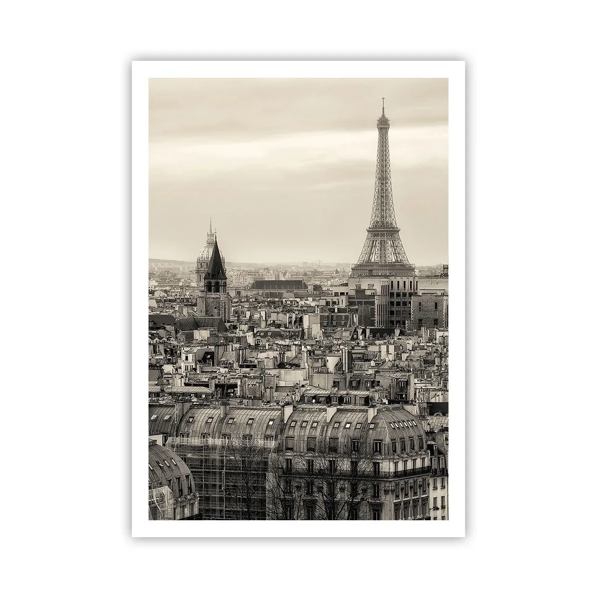Poster - Sui tetti di Parigi - 70x100 cm