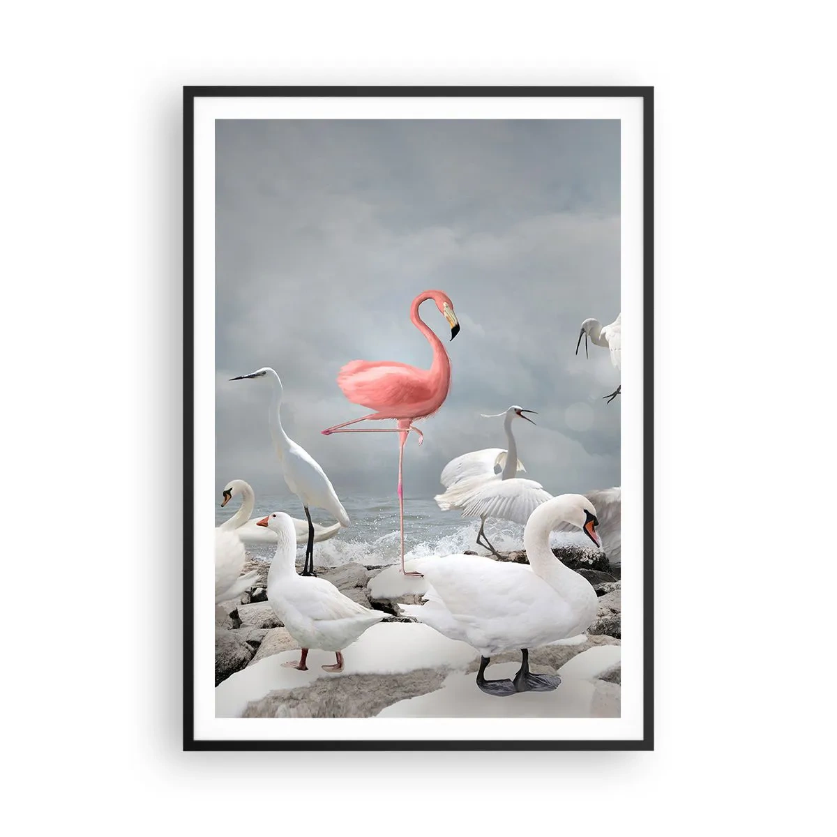 Poster in cornice nera - Come sono arrivato qui? - 70x100 cm