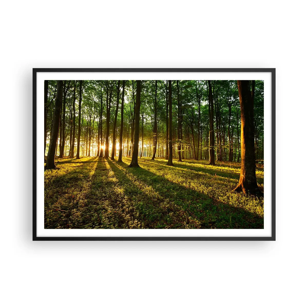 Poster in cornice nera - Il sole al tramonto nella foresta decidua - 100x70cm - La foto di ogni primavera - Decorazione murale moderna per soggiorno e camera da letto ARTTOR