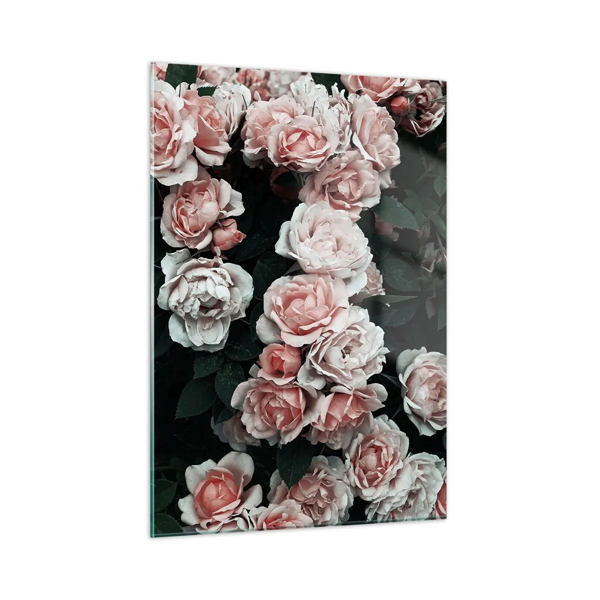 Quadro su vetro - Primo piano di un bouquet di rose rosa su uno sfondo scuro - 50x70cm - Composizione di rose - Decorazione murale moderna per soggiorno e camera da letto ARTTOR