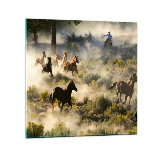 Quadro su vetro - Rivalità: libertà o forza mascolina? - 40x40 cm