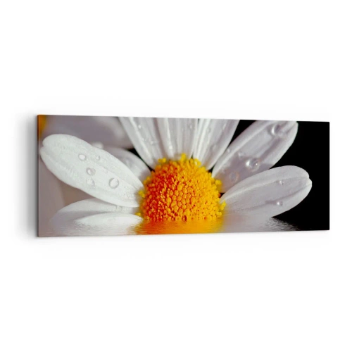 Quadro su tela - Stampe su Tela - Una margherita bianca con gocce d'acqua immerse in un riflesso d'acqua - 140x50cm - L'alba della margherita - Decorazione murale moderna per soggiorno e camera da letto ARTTOR