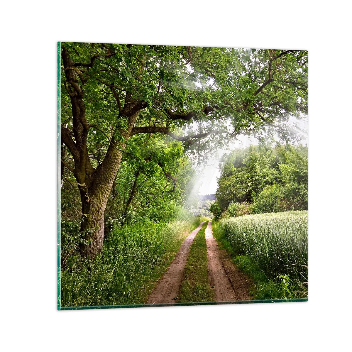 Quadro su vetro - Et in Arcadia ego - 30x30 cm