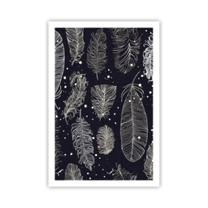 Poster - Pizzo piumato - 61x91 cm