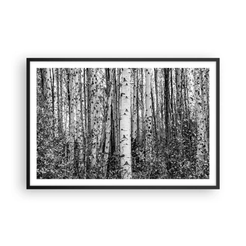 Poster in cornice nera - Colonnato di betulle - 91x61 cm
