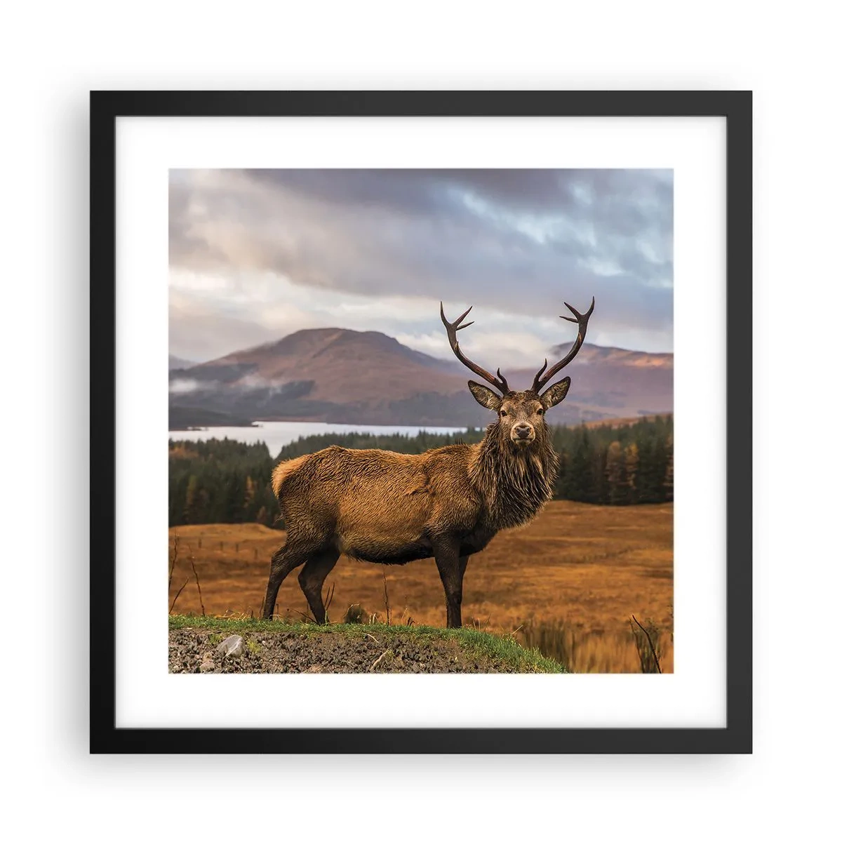 Poster in cornice nera - Maestà della natura - 40x40 cm