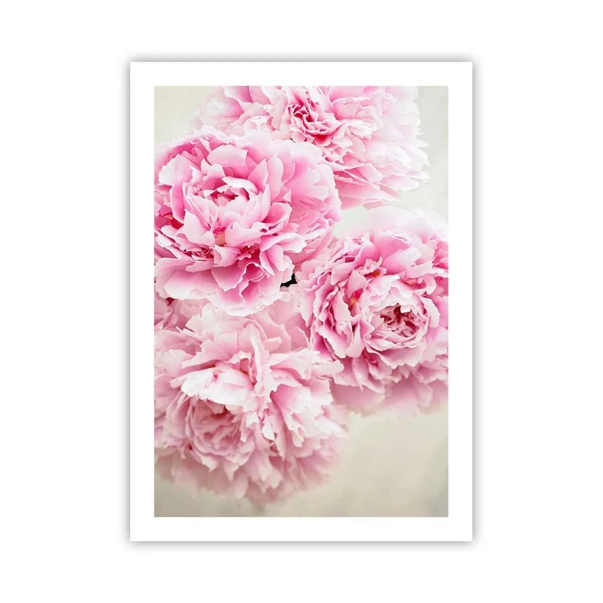 Poster - Un bouquet di peonie rosa su uno sfondo chiaro - 50x70cm - Nel fasto rosa - Decorazione murale moderna per soggiorno e camera da letto ARTTOR