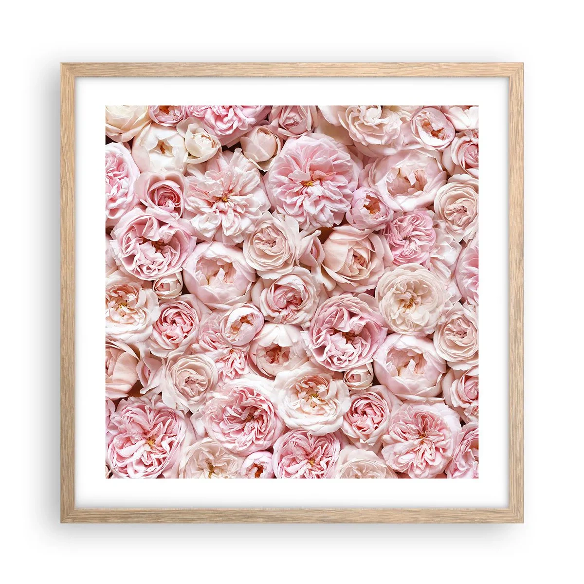 Poster in cornice rovere chiaro - Coperto di rose - 50x50 cm