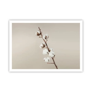 Poster - Un rametto di cotone su uno sfondo beige - 100x70cm - Alla fonte della morbidezza - Decorazione murale moderna per soggiorno e camera da letto ARTTOR