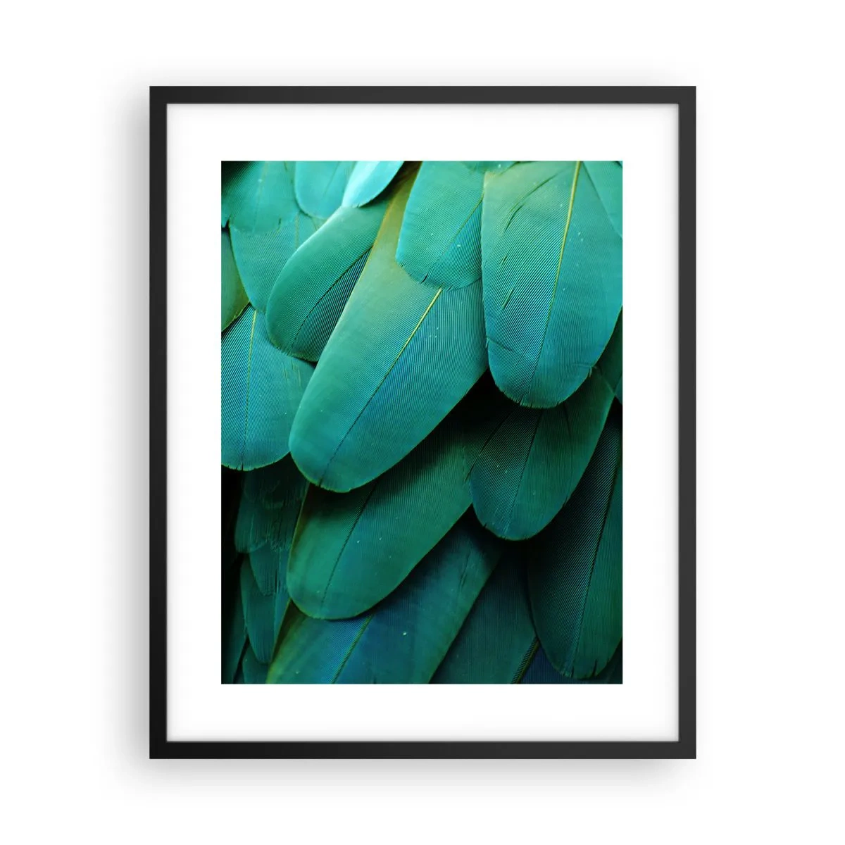 Poster in cornice nera - Precisione da pappagallo - 40x50 cm