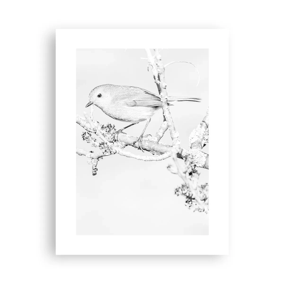 Poster - Mattino invernale - 30x40 cm