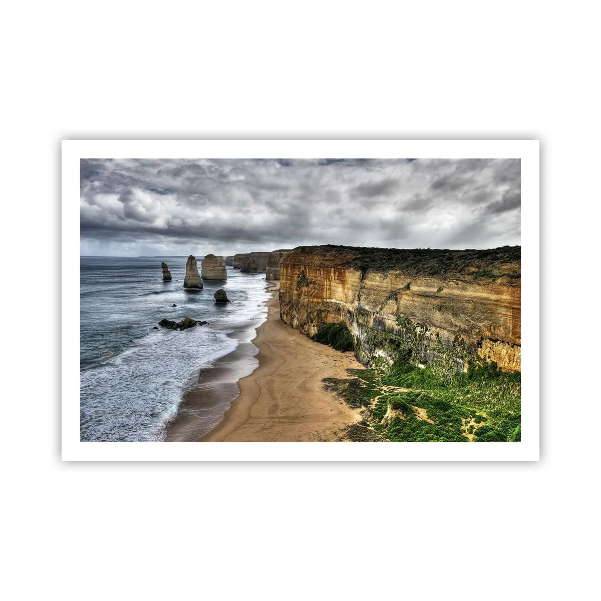 Poster - Bellezza selvatica - 91x61 cm
