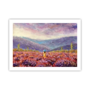 Poster - Nel mondo di lavanda - 70x50 cm