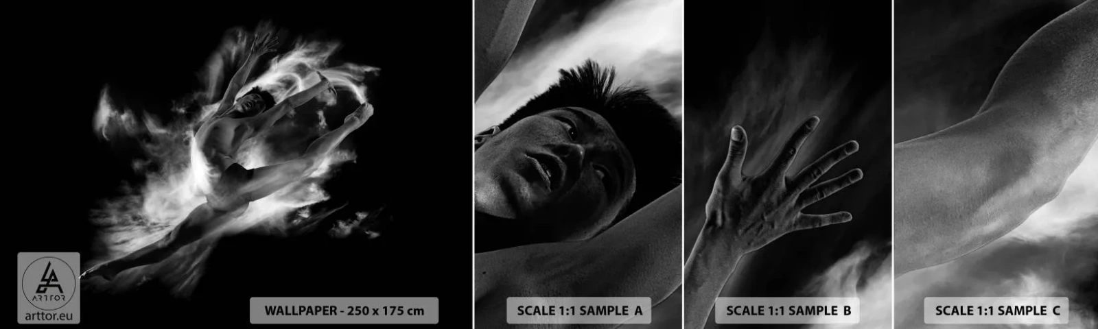 Campione di Fotomurale Adesivo Deluxe Sticker - Fermo in volo - Ballerino, Balletto, Cultura - 100x30 cm