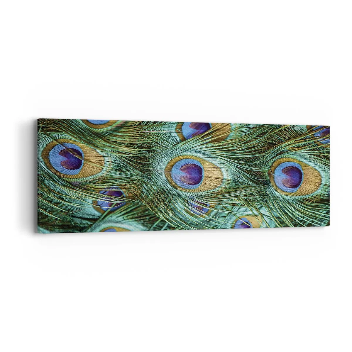 Quadro su tela - Stampe su Tela - Lo sguardo del pavone - 90x30 cm