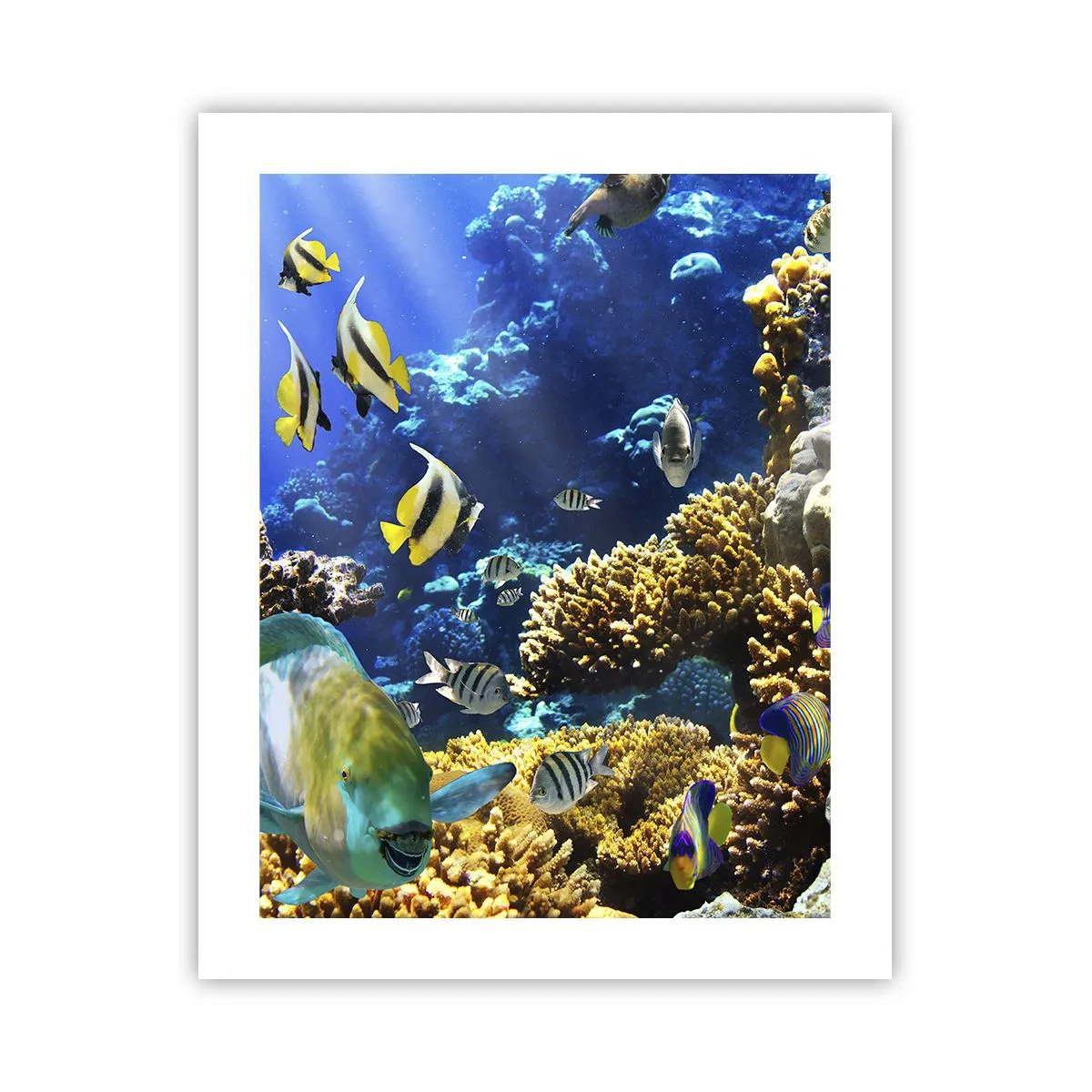 Poster - Traffico intenso sulla via delle vacanze - 40x50 cm