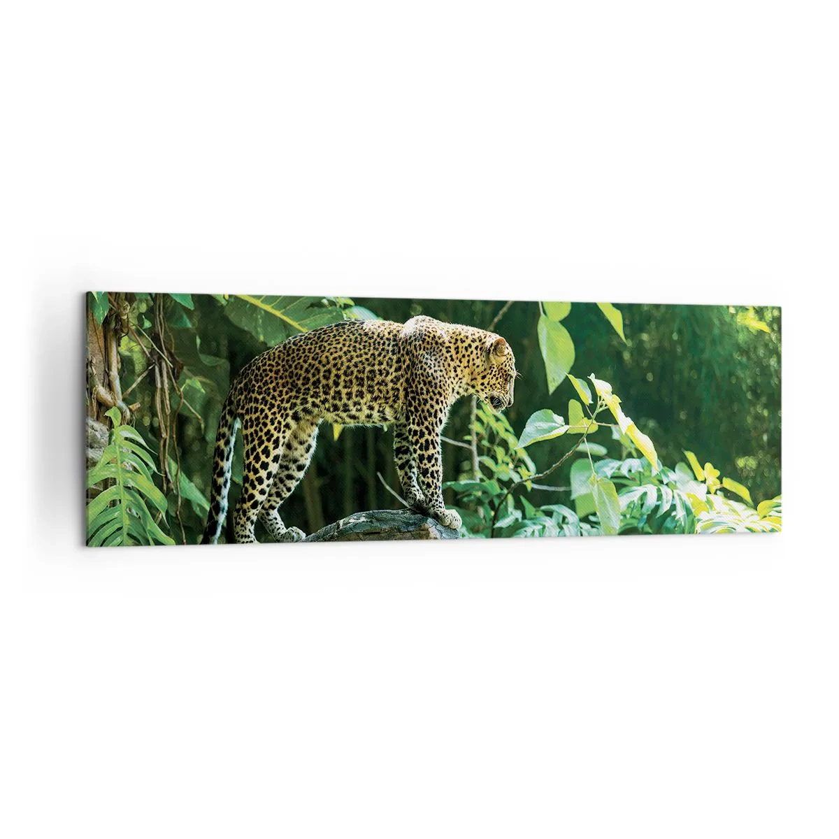 Quadro su tela - Stampe su Tela - Un leopardo in piedi su una roccia circondato da vegetazione tropicale - 160x50cm - A caccia? - Decorazione murale moderna per soggiorno e camera da letto ARTTOR