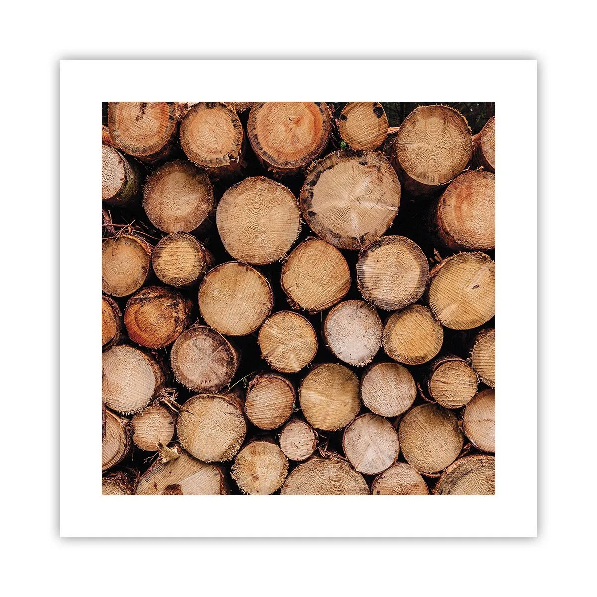 Poster - Nuovo inizio - 40x40 cm