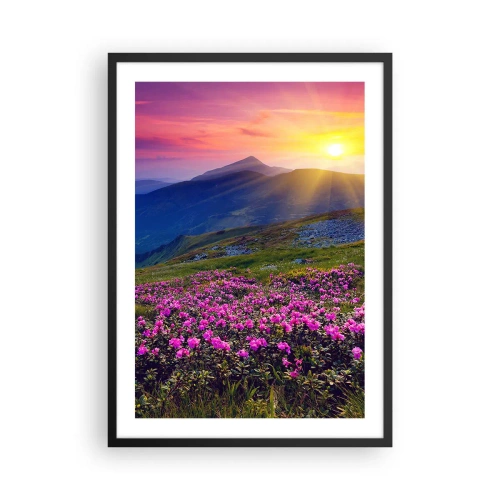 Poster in cornice nera - Panorama montano con rododendri in fiore e tramonto - 50x70cm - Odore di mugo e profumo di erbe - Decorazione murale moderna per soggiorno e camera da letto ARTTOR