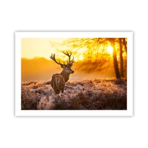 Poster - Il re del bosco estivo - 70x50 cm