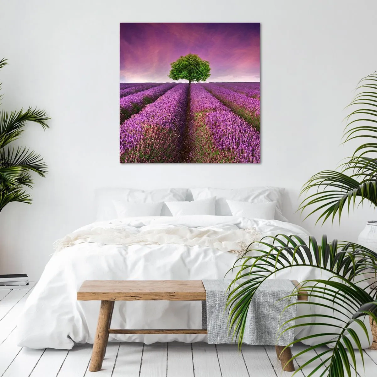 Quadro su tela - Stampe su Tela - Sui campi di lavanda - 40x40 cm