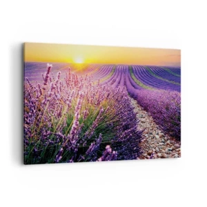 Quadro su tela - Stampe su Tela - Campo di lavanda al tramonto - 120x80cm - Campo profumato - Decorazione murale moderna per soggiorno e camera da letto ARTTOR
