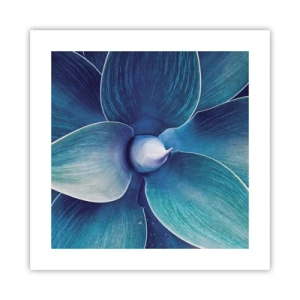 Poster - Imbluito dal sole - 40x40 cm