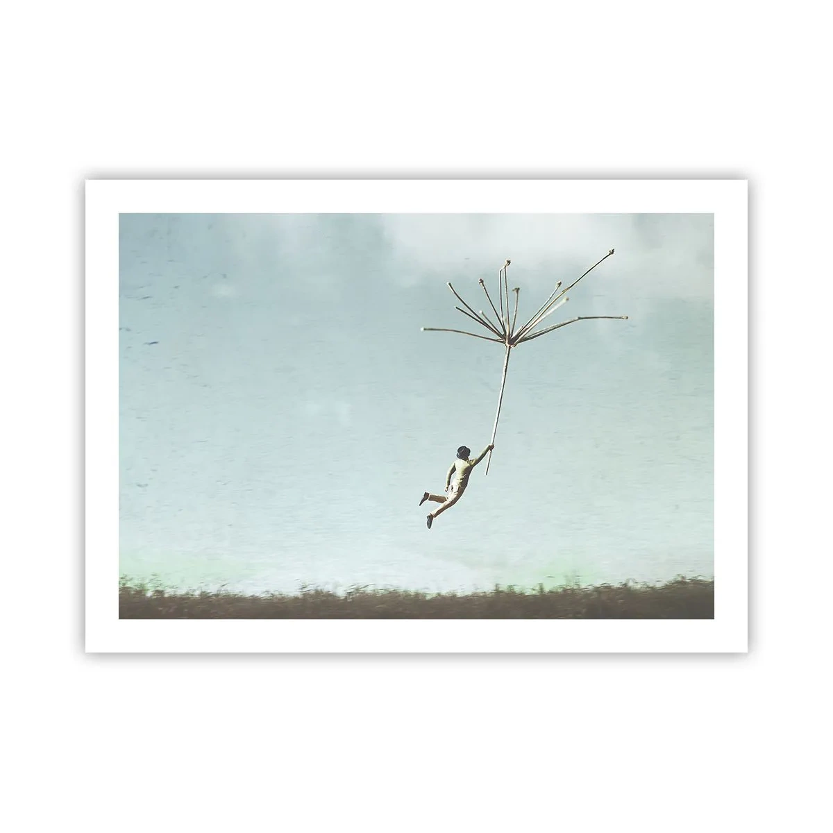 Poster - Aquiloni, denti di leone, vento - 70x50 cm