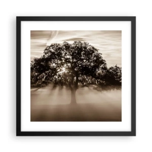 Poster in cornice nera - L'albero delle sole buone notizie - 40x40 cm