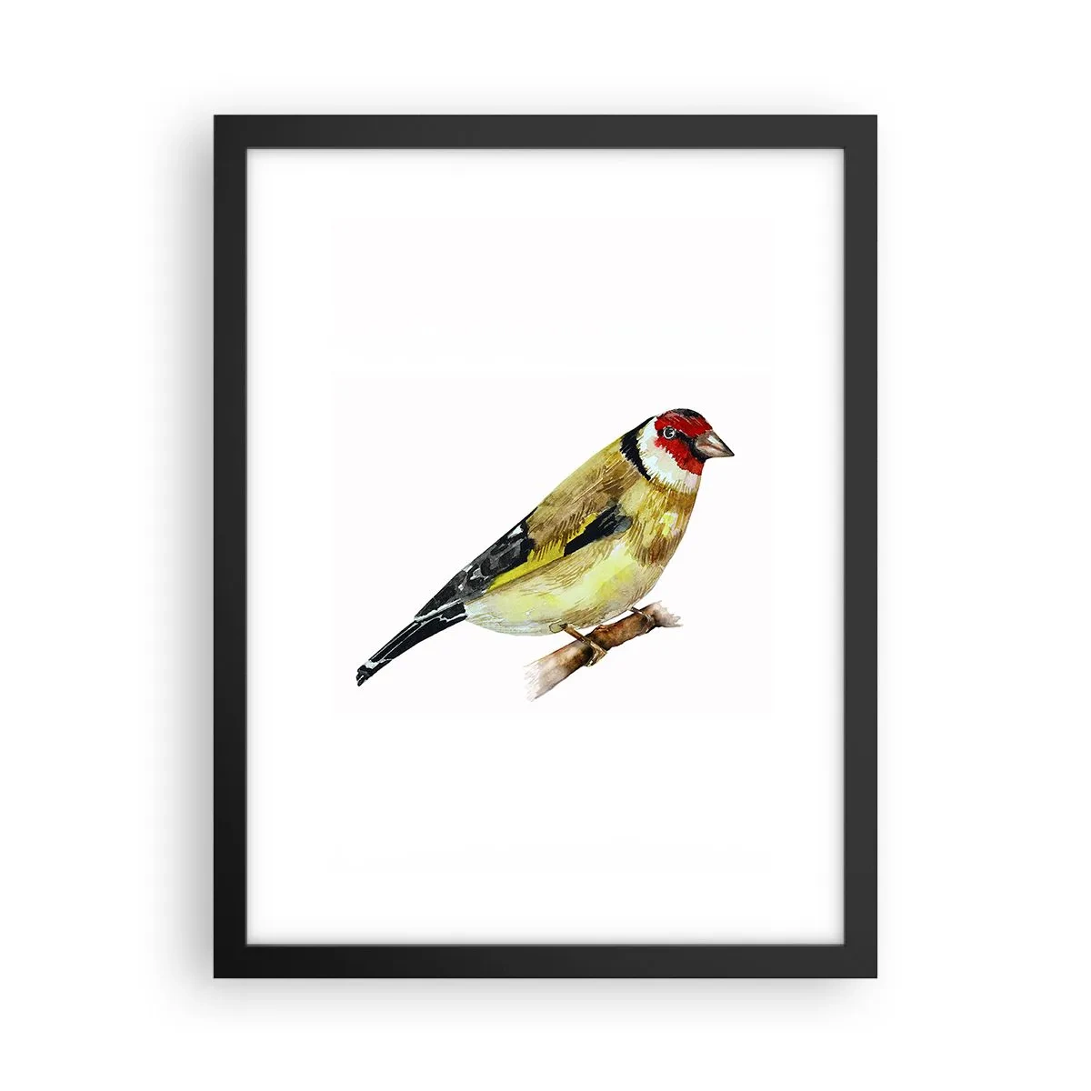 Poster in cornice nera - Ritratto di uccello - 30x40 cm