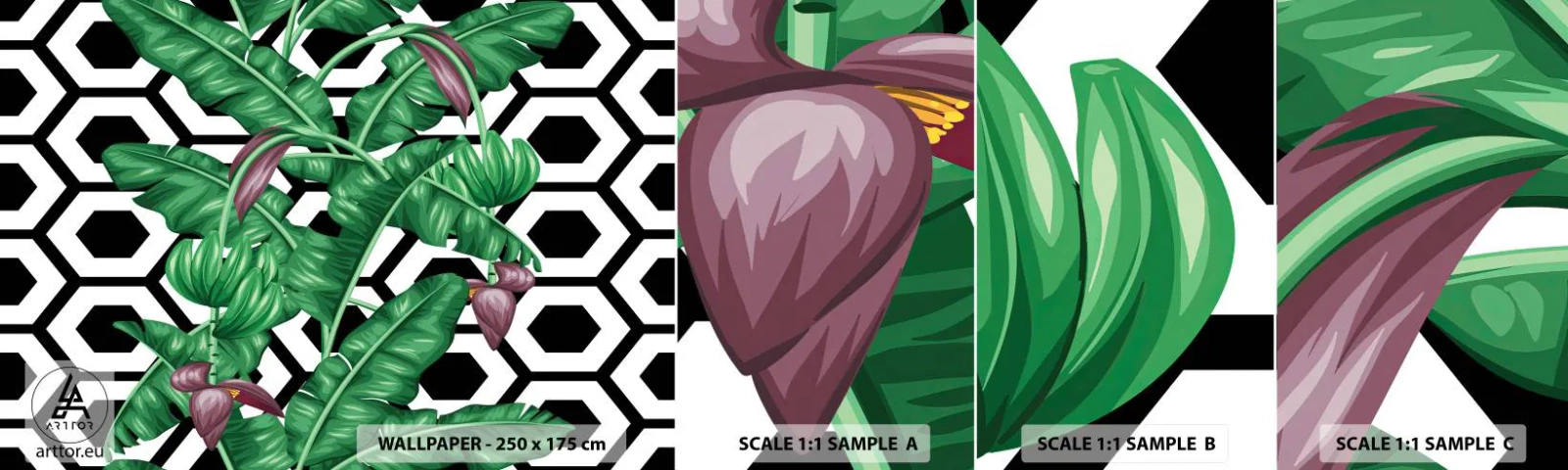 Campione di Fotomurale Adesivo Deluxe Sticker - Composizione simmetrica con la natura - Astrazione, Foglia, Fiore - 100x30 cm