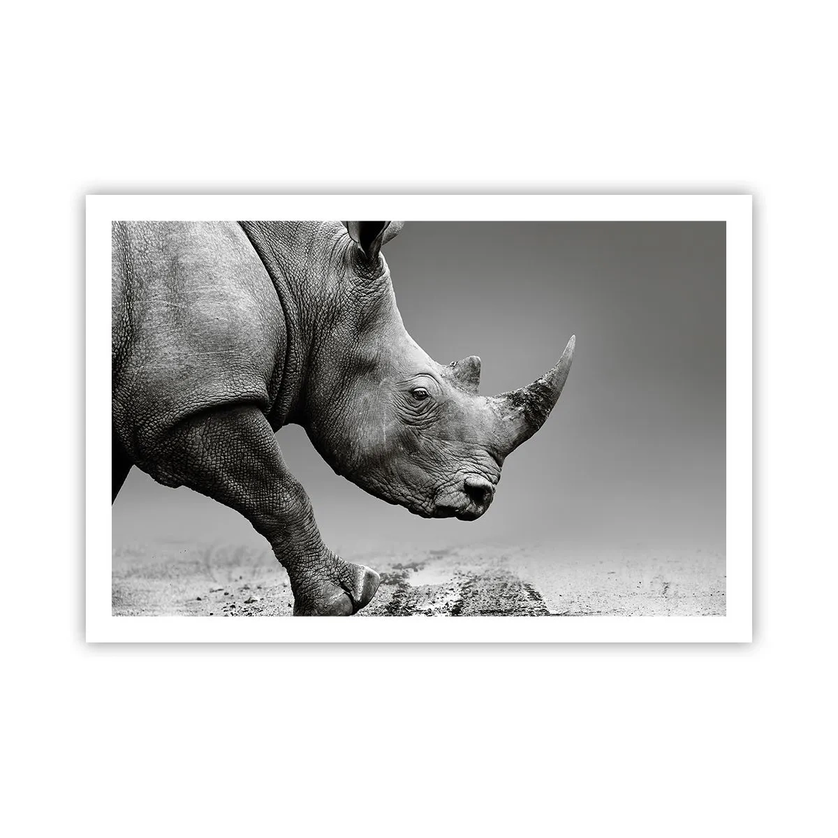 Poster - Forza irrefrenabile - 91x61 cm