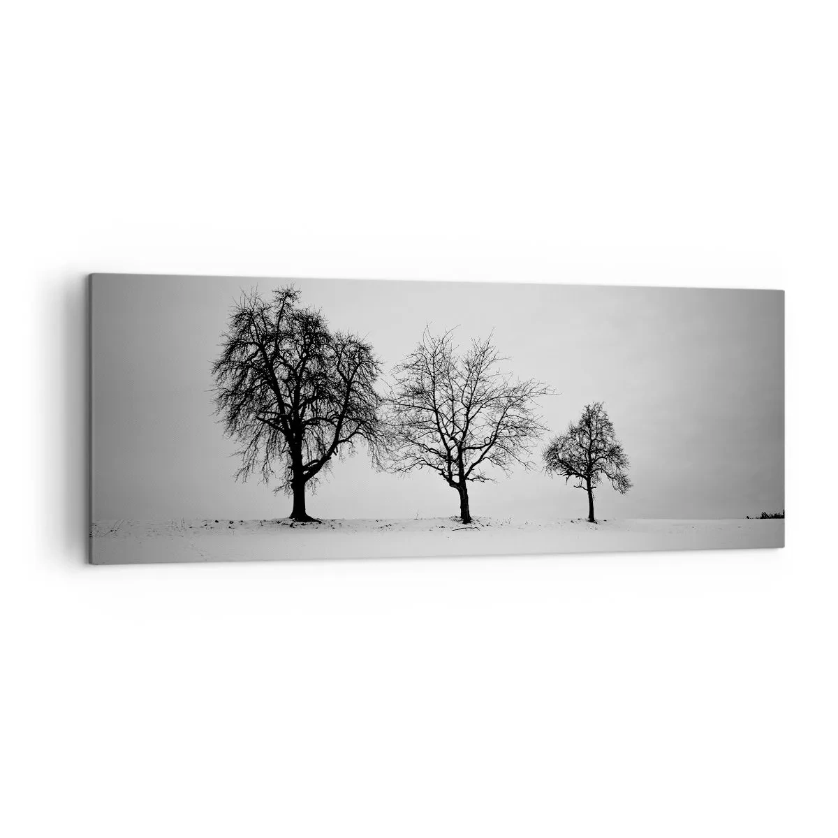 Quadro su tela - Stampe su Tela - Tre alberi in un campo innevato in stile monocromatico - 140x50cm - Cosa sognano? - Decorazione murale moderna per soggiorno e camera da letto ARTTOR