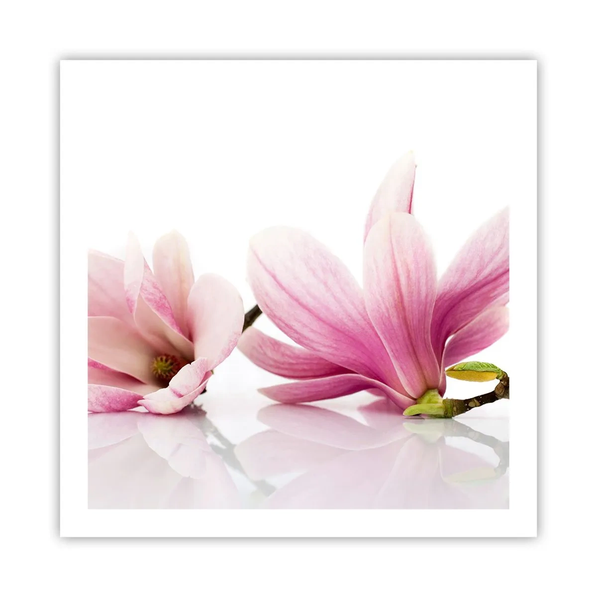 Poster - Delicati come un soffio di primavera - 60x60 cm