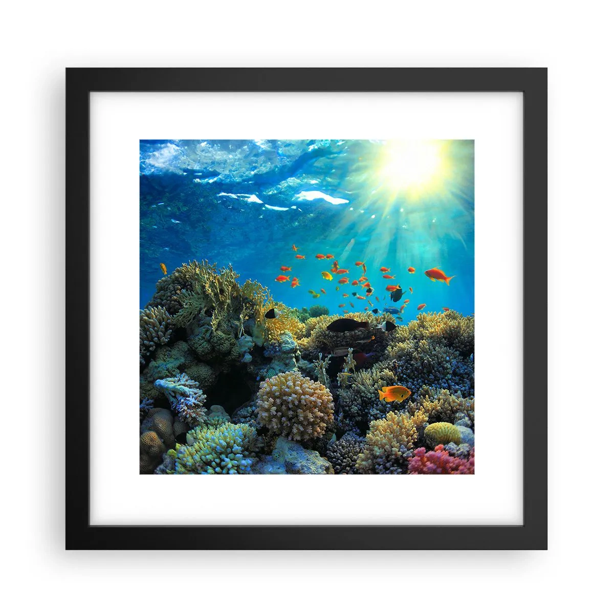 Poster in cornice nera - Tesori sotto al mare - 30x30 cm
