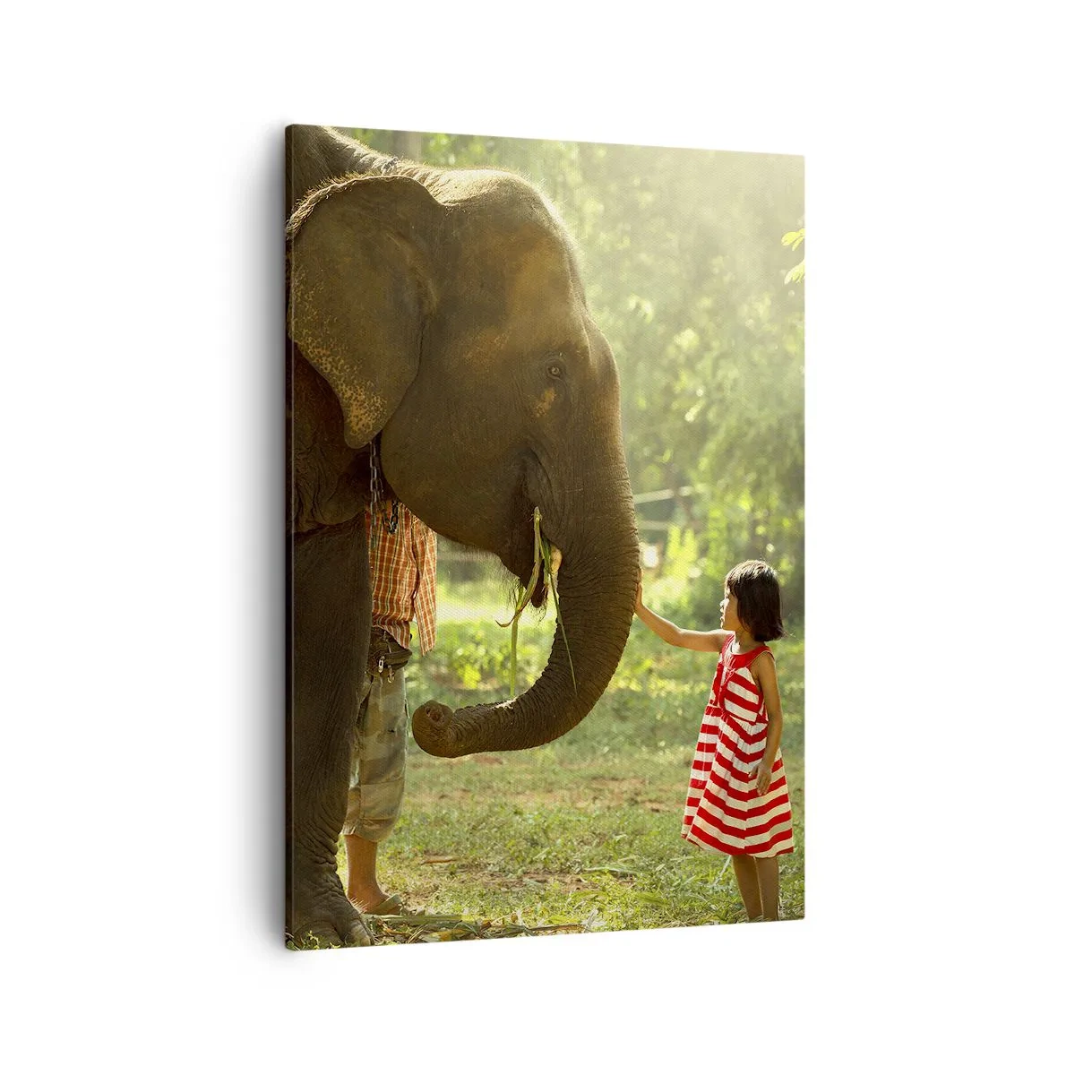 Quadro su tela - Stampe su Tela - Una ragazza con un vestito rosso tocca un elefante nella foresta. - 50x70cm - La forza dell'amicizia - Decorazione murale moderna per soggiorno e camera da letto ARTTOR