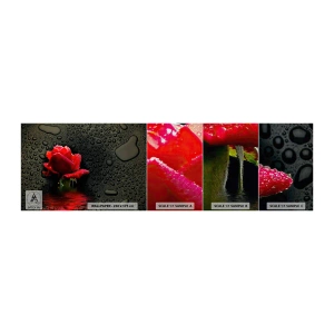 Campione di Fotomurale Premium Canvas - Rosso e nero - Fiori, Rosa, Acqua - 100x30 cm
