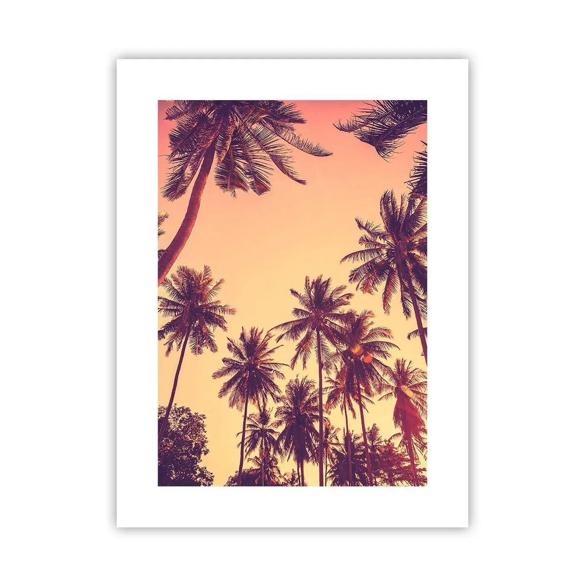 Poster - Composizione tropicale - 30x40 cm