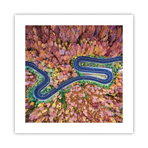 Poster - Via tortuosa attraverso il bosco - 40x40 cm