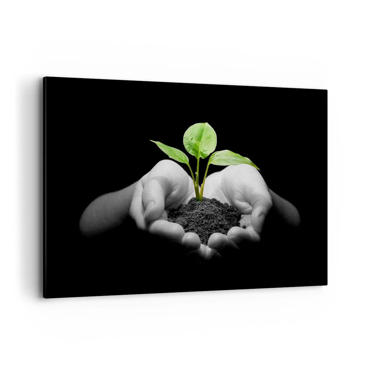 Quadro su tela - Stampe su Tela - Mani che tengono una pianta verde su uno sfondo nero - 120x80cm - Amo la natura, la proteggo - Decorazione murale moderna per soggiorno e camera da letto ARTTOR
