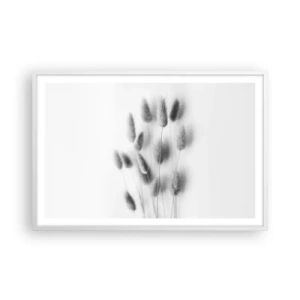 Poster in cornice bianca - Erba soffice - 91x61 cm