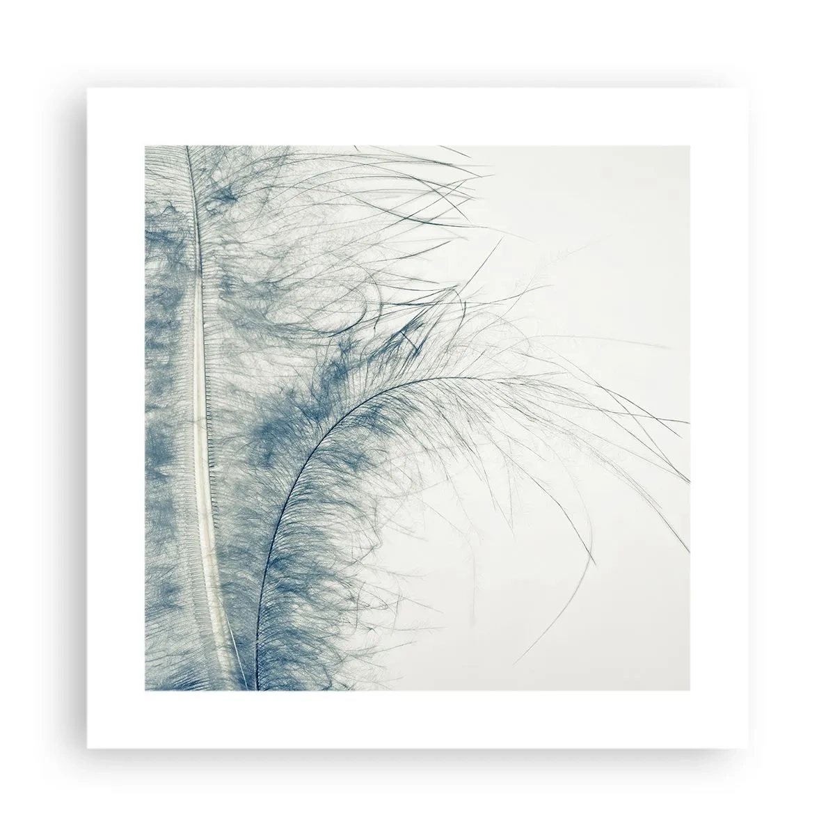 Poster - Il sussurro della natura - 40x40 cm