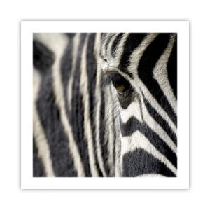 Poster - Ritratto a strisce - 50x50 cm